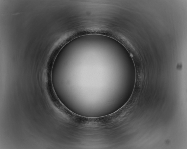 X0000101480734200807141414