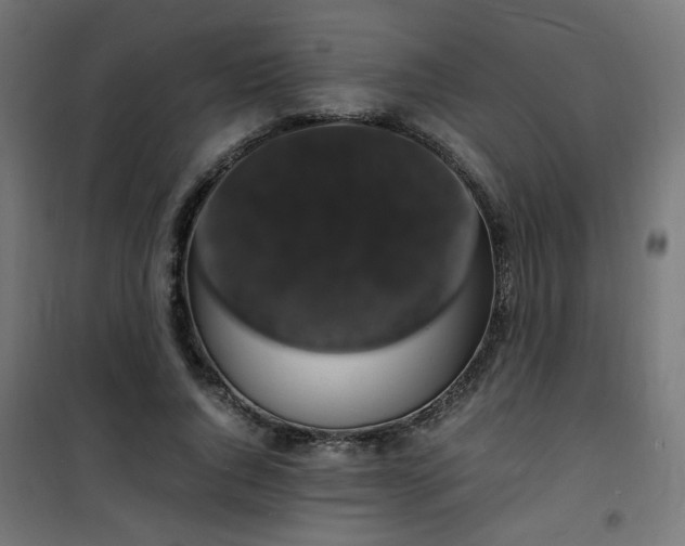 X0000101480736200807141414