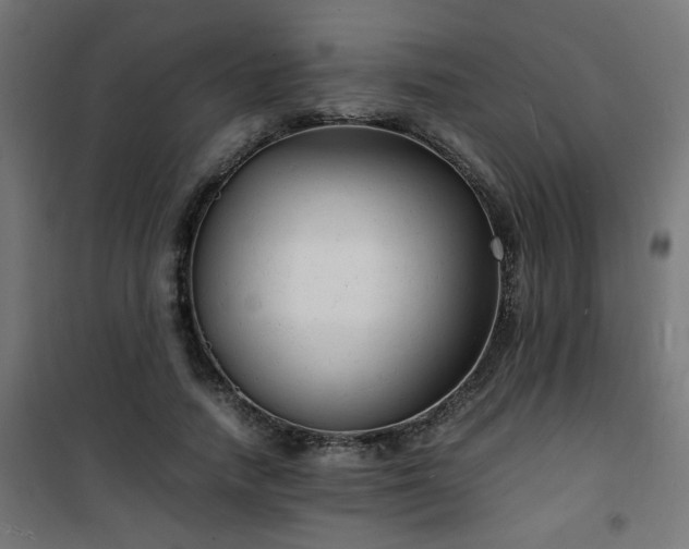 X0000101480738200807141414