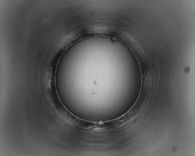 X0000101480739200807141414