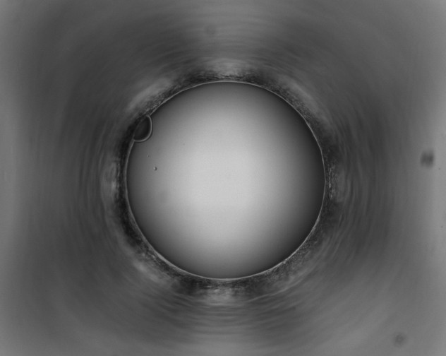 X0000101480740200807141414