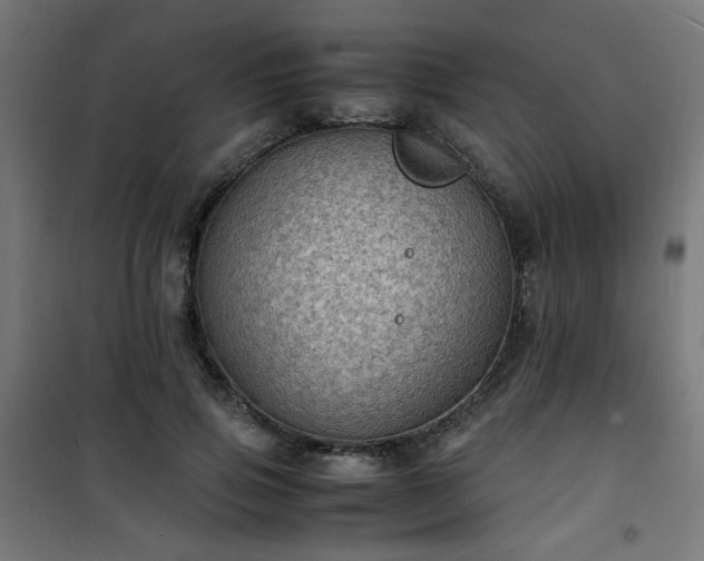 X0000101480741200807141414