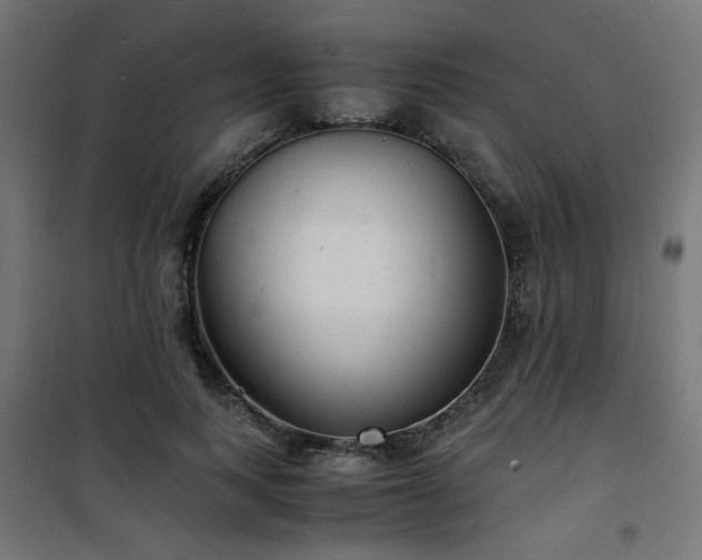 X0000101480743200807141414