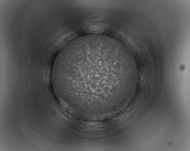 X0000101480745200807141414