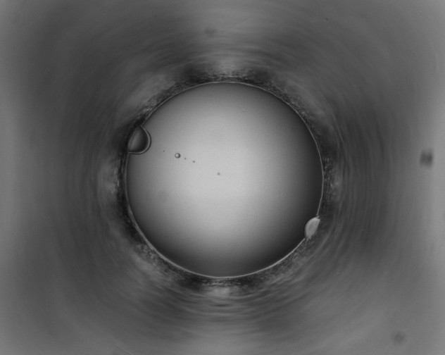 X0000101480746200807141414