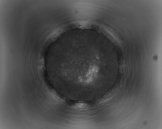 X0000101480748200807141414