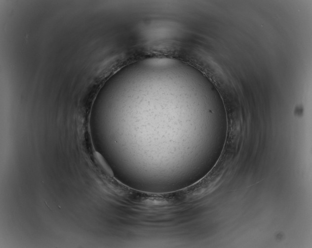 X0000101480749200807141414