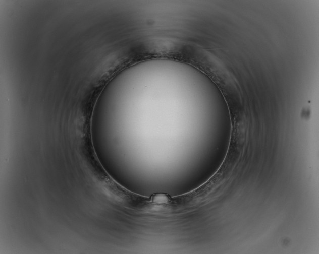 X0000101480750200807141414