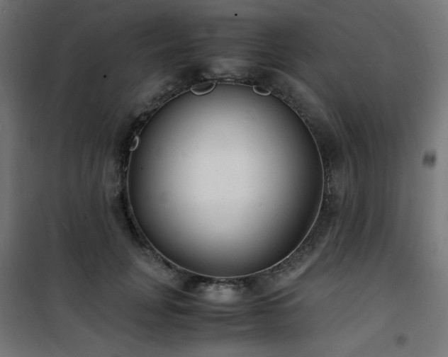 X0000101480751200807141414