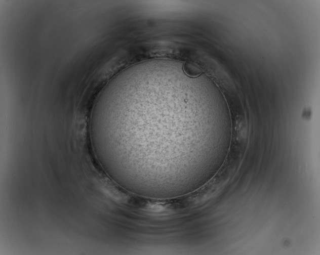 X0000101480753200807141414