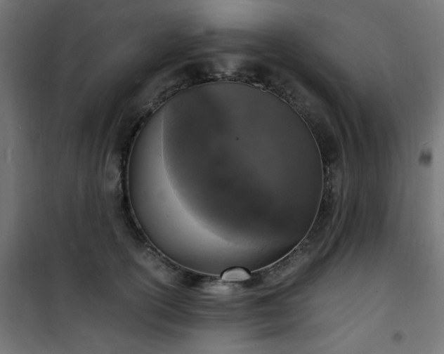 X0000101480754200807141414