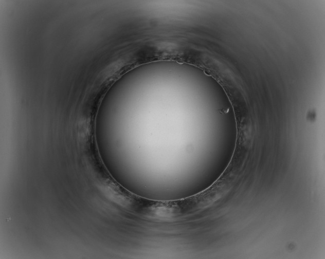 X0000101480756200807141414