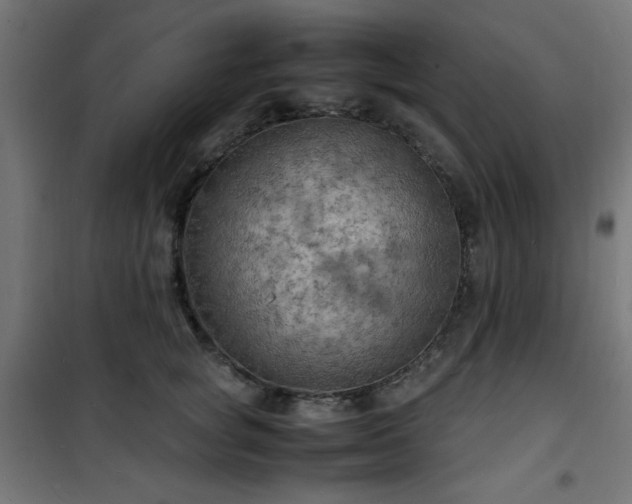 X0000101480757200807141414