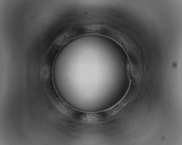 X0000101480758200807141414