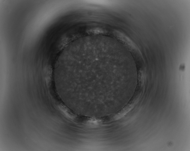 X0000101480760200807141414