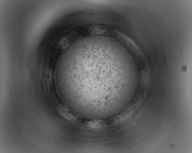 X0000101480761200807141414