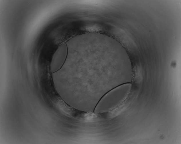 X0000101480762200807141414