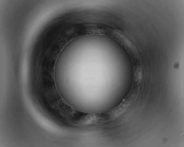 X0000101480764200807141414