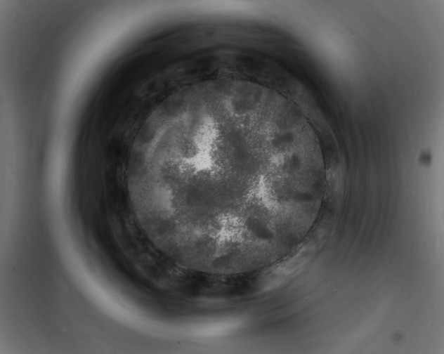 X0000101480765200807141414