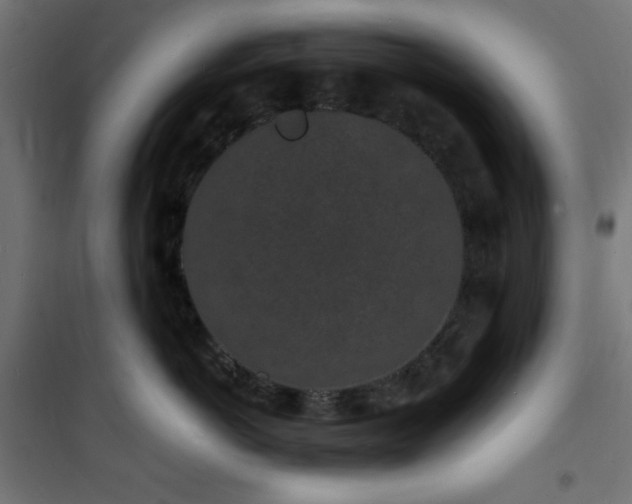X0000101480766200807141414