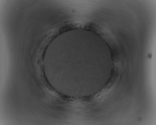X0000101480769200807141414