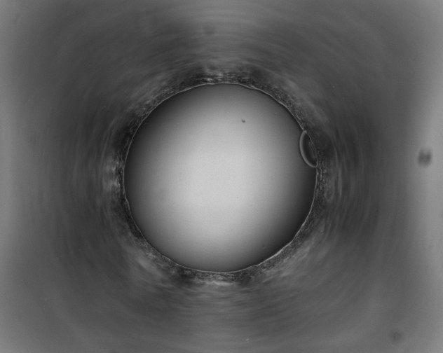 X0000101480770200807141414