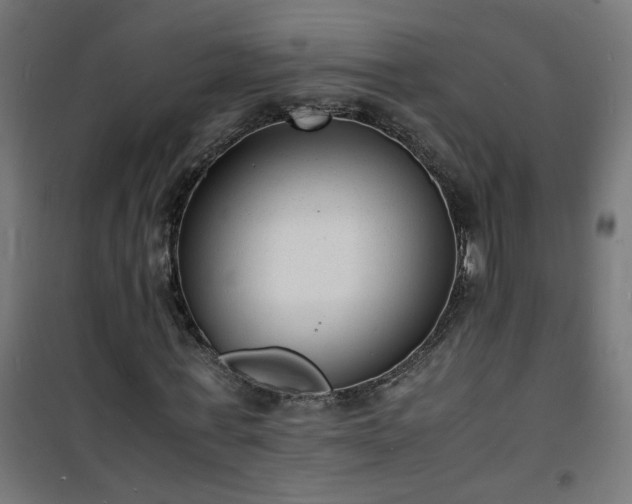 X0000101480771200807141414