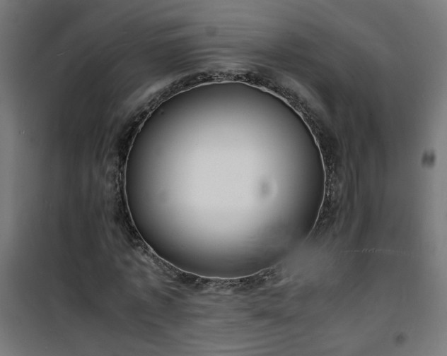 X0000101480773200807141414