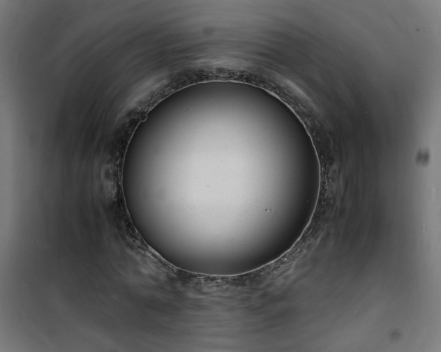 X0000101480774200807141414
