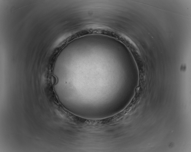 X0000101480775200807141414