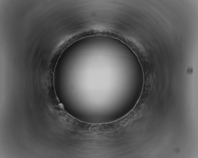X0000101480776200807141414