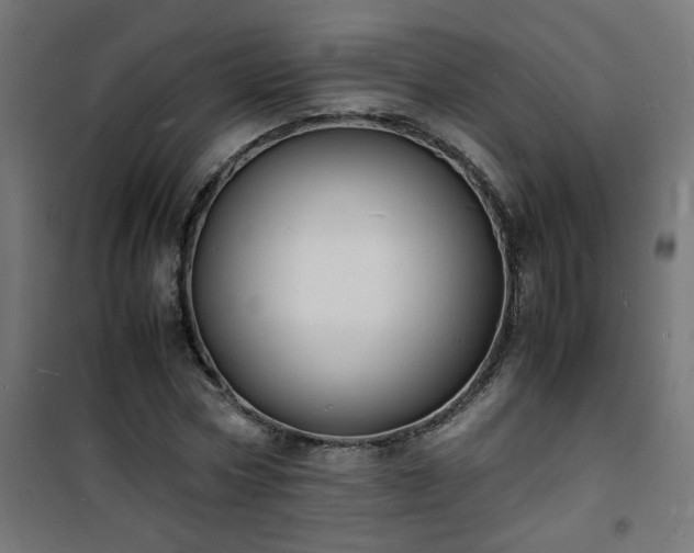 X0000101480778200807141414