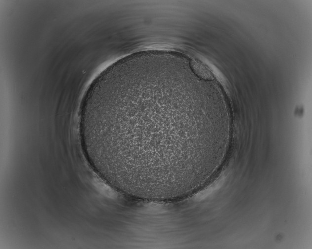 X0000101480779200807141414