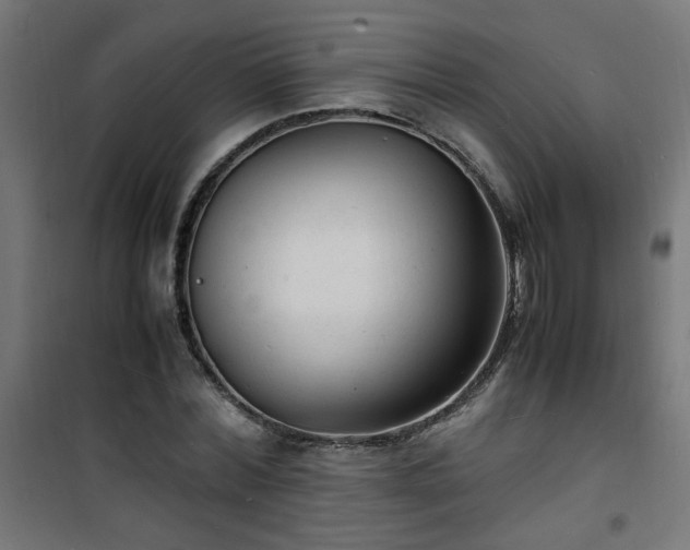 X0000101480780200807141414
