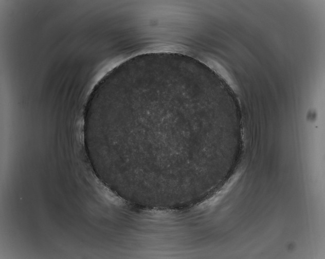 X0000101480781200807141414