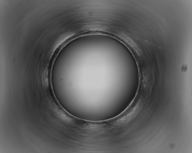 X0000101480782200807141414