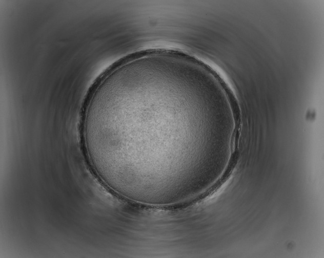 X0000101480783200807141414