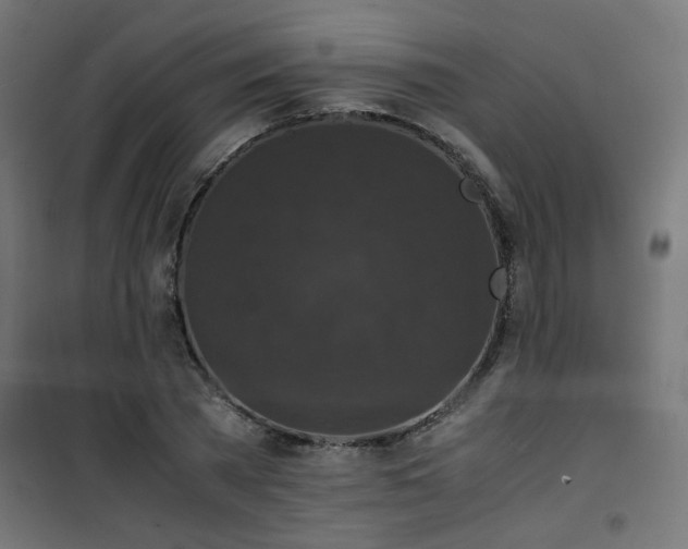 X0000101480785200807141414
