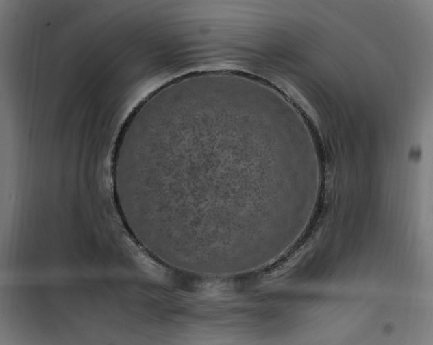 X0000101480789200807141413