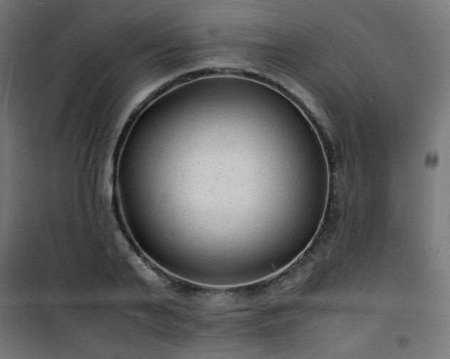 X0000101480791200807141413