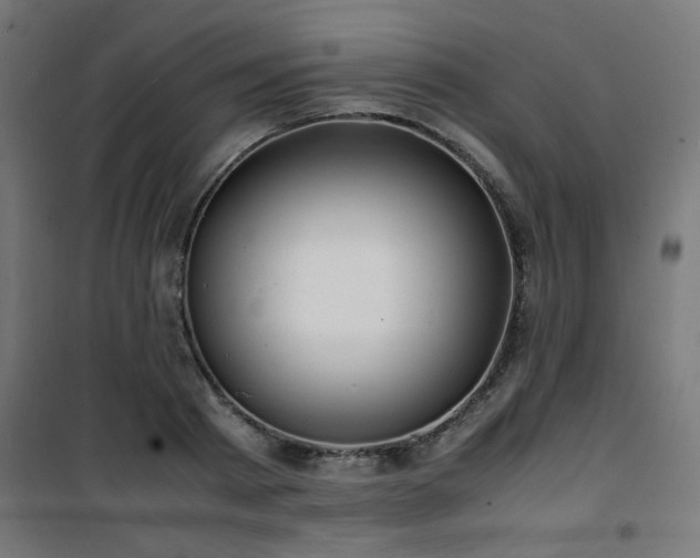X0000101480793200807141413