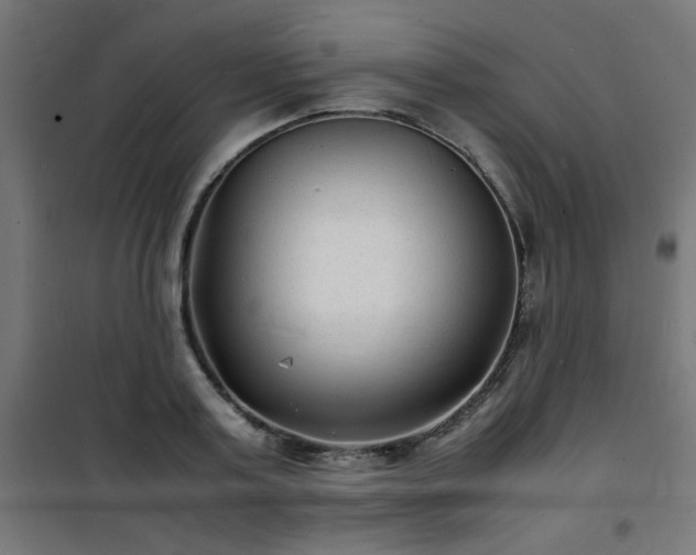 X0000101480795200807141413
