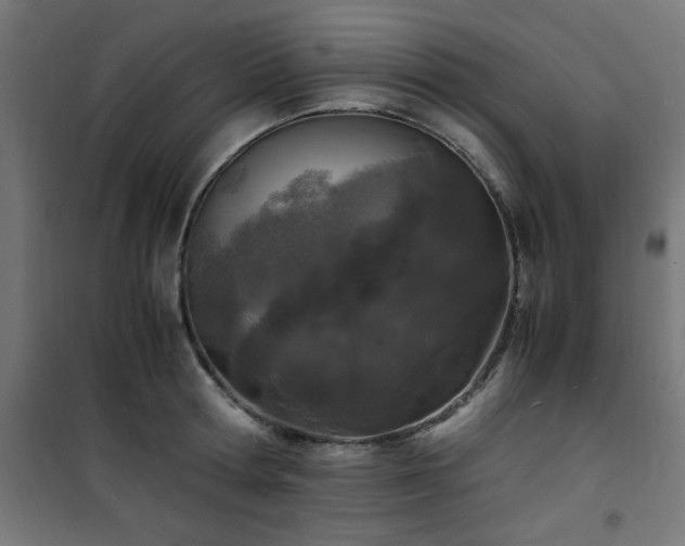 X0000101480802200807141413