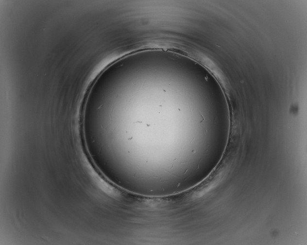 X0000101480803200807141413