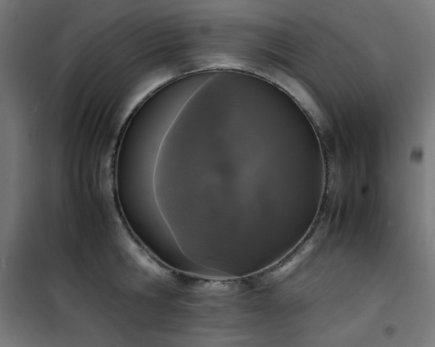 X0000101480806200807141413