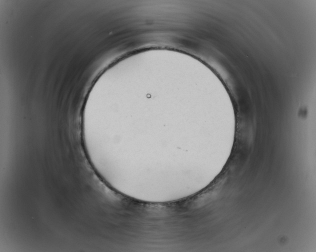 X0000101480807200807141413