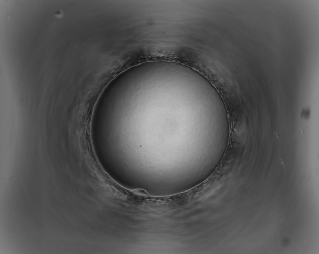 X0000101480817200807141412