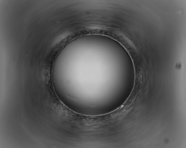 X0000101480821200807141412