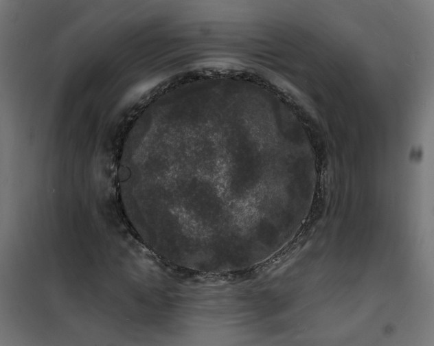 X0000101480822200807141412