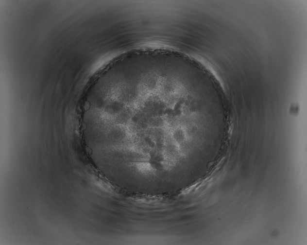 X0000101480823200807141412